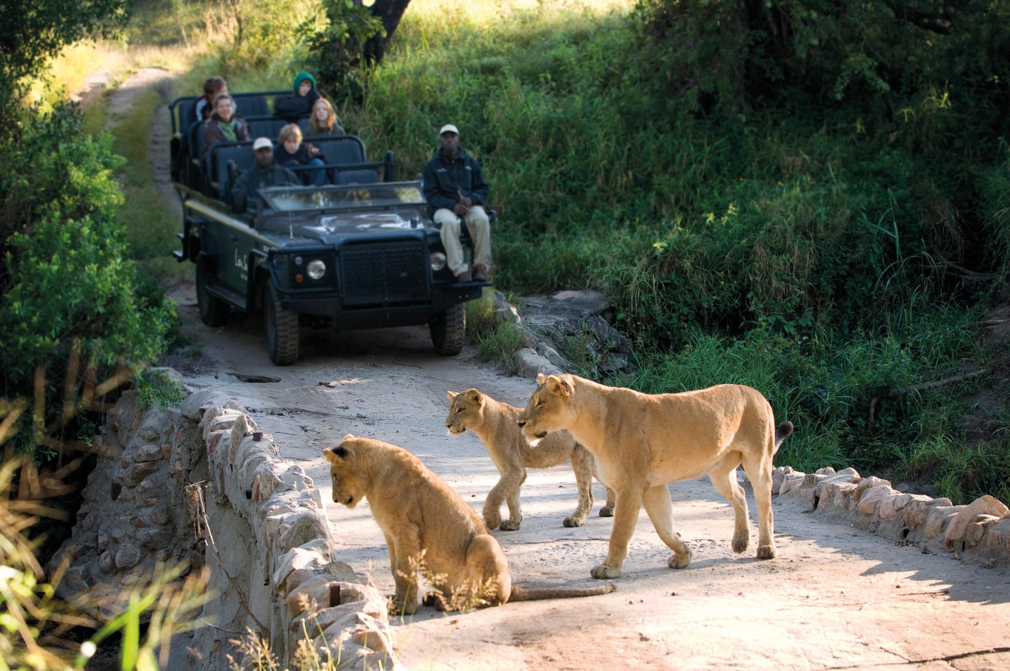Lion Sands Narina Lodge Sabi Sand Game Reserve Eksteriør bilde