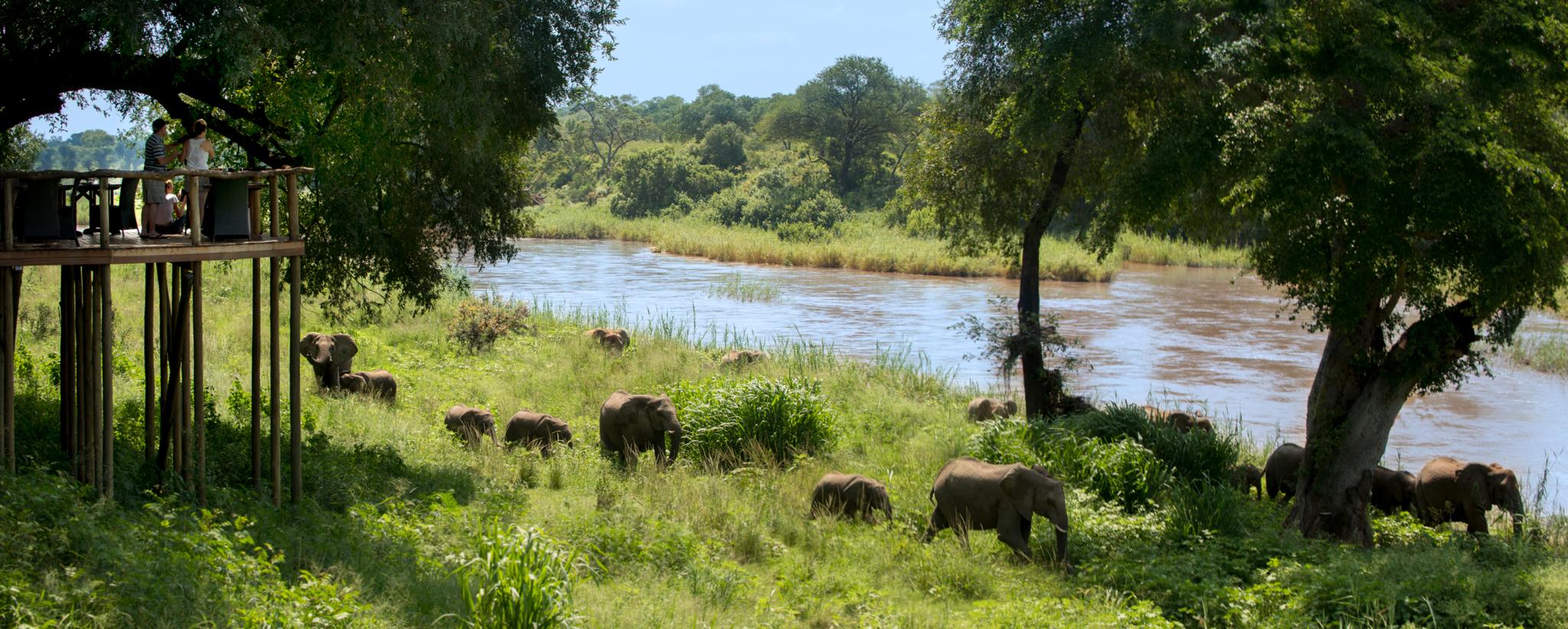Lion Sands Narina Lodge Sabi Sand Game Reserve Eksteriør bilde
