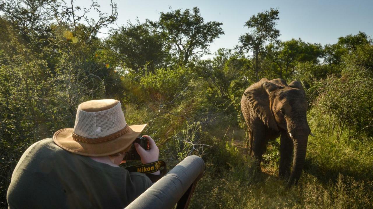 Lion Sands Narina Lodge Sabi Sand Game Reserve Eksteriør bilde